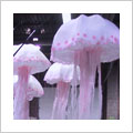 Jellyfish puppets, silk